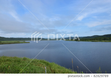 Owner Kuruma 82829789