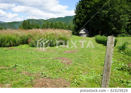 Tono Heritage Denderano 82829826