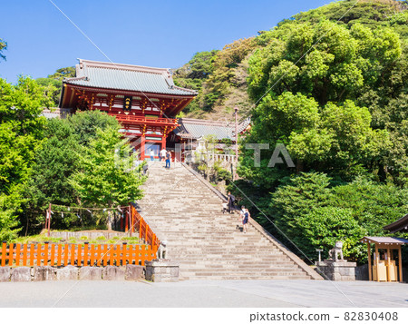 Early autumn Kamakura Tsurugaoka Hachimangu main shrine and Oishi step Early autumn Kamakura Tsurugaoka Hachimangu main shrine and Oishi step 82830408