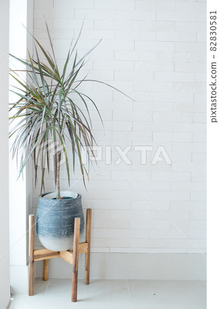 White entrance foliage plants and eco-carat tiles 82830581