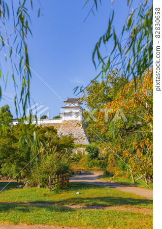 透過日本庭園看到的明石城牆，櫻花色的葉子 82830658