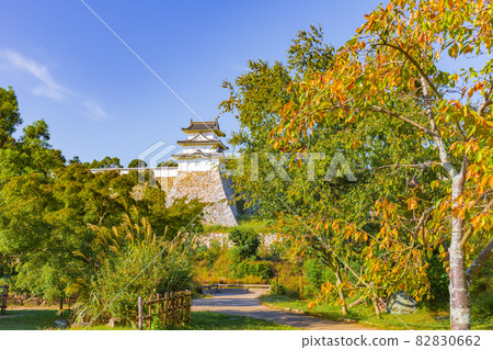 透過日本庭園看到的明石城牆，櫻花色的葉子 82830662