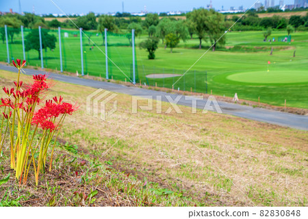 淺川水門附近的荒川河床高爾夫球場秋景 淺川水門附近的荒川河床高爾夫球場秋景 82830848