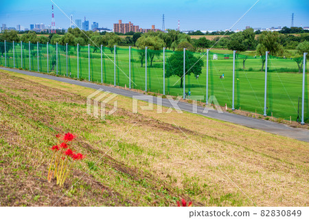 Arakawa Riverbed Golf Course Autumn Scenery Scenery near Asaka Water Gate Arakawa Riverbed Golf Course Autumn Scenery Scenery near Asaka Water Gate 82830849