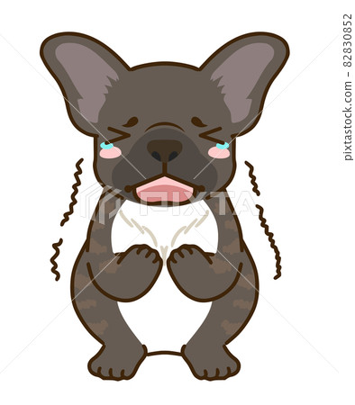 Frightened French Bulldog (Brindle) 82830852