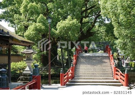 Dazaifu Tenmangu Shrine approach to Taiko Bridge and Shinji Pond 82831145