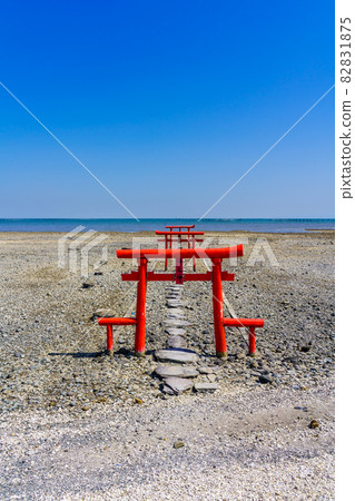 Large fish shrine underwater torii after low tide [Tara Town, Fujitsu District, Saga Prefecture] 82831875