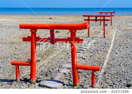 Large fish shrine underwater torii after low tide [Tara Town, Fujitsu District, Saga Prefecture] 82831886