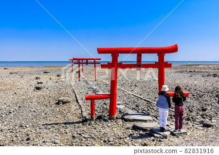 Large fish shrine underwater torii after low tide [Tara Town, Fujitsu District, Saga Prefecture] 82831916