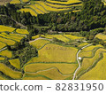 Drone aerial view of Yoshinobu rice terraces 82831950