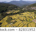 Drone aerial view of Yoshinobu rice terraces 82831952