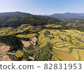 Drone aerial view of Yoshinobu rice terraces 82831953