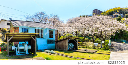 世界文化遺產全景小菅修船遺址的櫻花[長崎市] 82832025