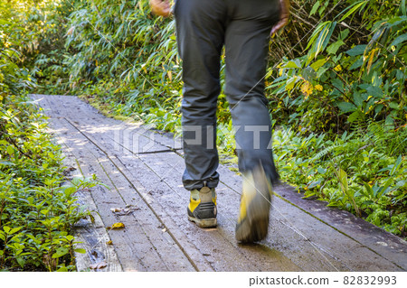 A man walking on a wooden path in the fresh green 82832993