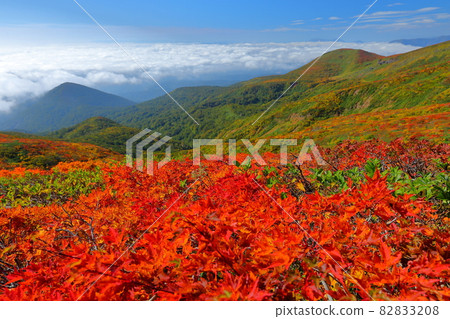 Mt. Kurikoma, which straddles the three prefectures of Miyagi prefecture, Iwate prefecture, and Akita prefecture. Mt. Kurikoma, which straddles the three prefectures of Miyagi prefecture, Iwate prefecture, and Akita prefecture. 82833208