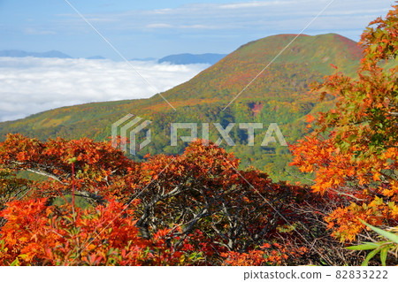 Mt. Kurikoma, which straddles the three prefectures of Miyagi prefecture, Iwate prefecture, and Akita prefecture. 82833222