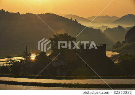 Rice terrace taken in early morning in Nagaya Osaka prefecture Nose-cho Rice terrace taken in early morning in Nagaya Osaka prefecture Nose-cho 82833822