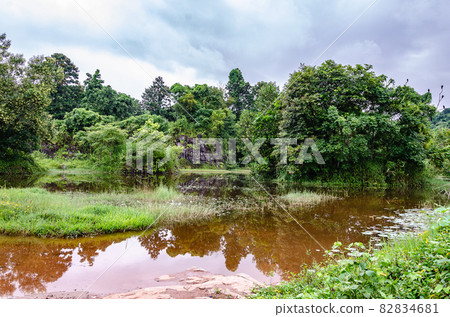 Reflection in a pond 82834681