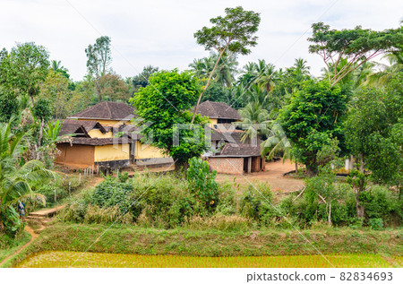 Rural landscape in India Rural landscape in India 82834693