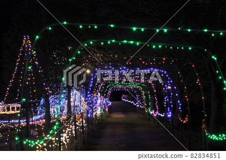 Fukaya City, Saitama Prefecture Seien Park Illuminations 82834851