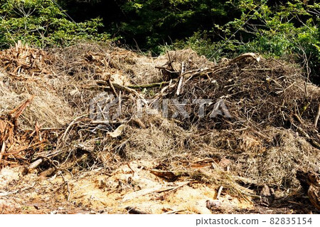 林業木材場 林業木材場 82835154