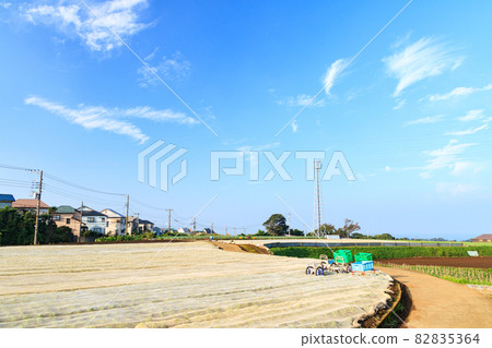 Field (autumn) Field (autumn) 82835364