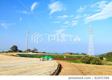 Field (autumn) 82835366