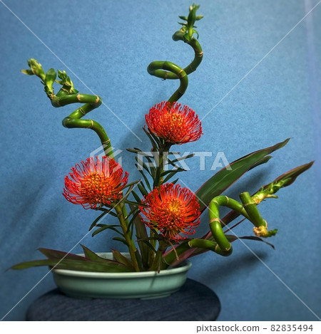 藍色背景中的枕形和螺旋竹 82835494