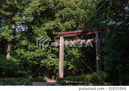 Shrine second torii 82835889