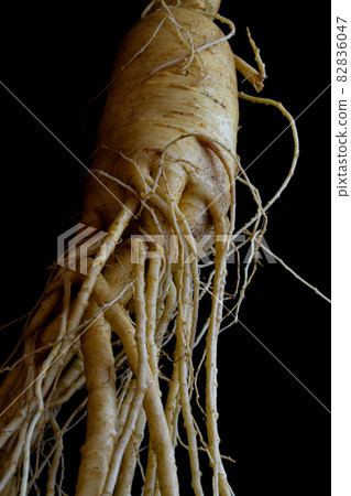 Korean ginseng (chosen carrot) 6 years old and energetic unequaled 82836047