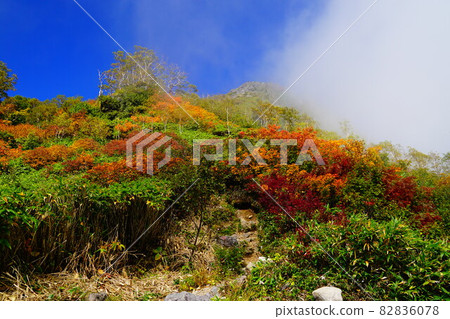 Mt. Myoko Tsubame Onsen Course Autumn leaves on the 9th station 82836078
