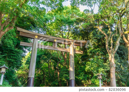 Tokyo Meiji Jingu Ichi no Torii Tokyo Meiji Jingu Ichi no Torii 82836096