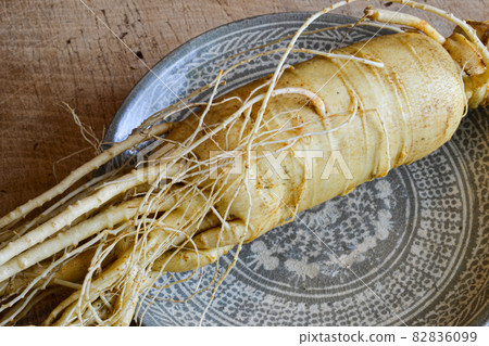 Korean ginseng (chosen carrot) 6 years old and energetic unequaled 82836099