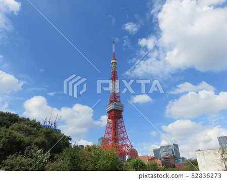 Tokyo Tower seen from Shiba Park 82836273