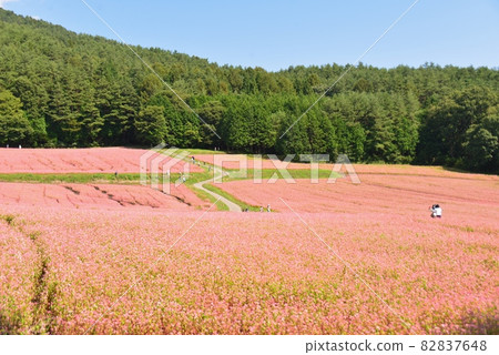 Shinshu Ina Kogen Akasoba no Sato 82837648