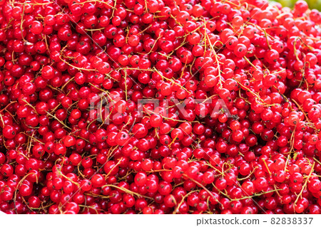 red currant as background 82838337