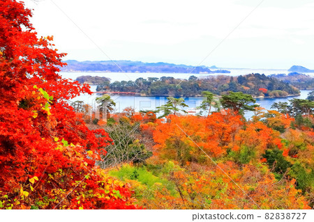 Matsushima in autumn Matsushima in autumn 82838727
