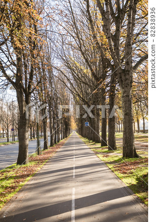 Paris eco-friendly straight bicycle path Paris eco-friendly straight bicycle path 82838936