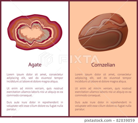 Agate and Carnelian or Cornelian Brown-Red Mineral Agate and Carnelian or Cornelian Brown-Red Mineral 82839859