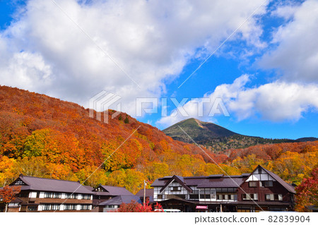 Autumn Sukayu Onsenkyo 82839904