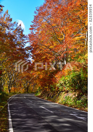 Autumn Route 102 82839954