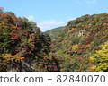 大分縣九水溪的紅葉（2013年11月拍攝） 82840070