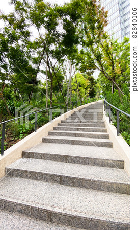 Stairs surrounded by greenery 82840106