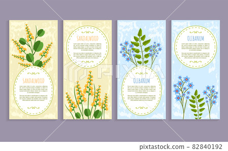 Olibanum and Sandalwood Set Vector Illustration 82840192