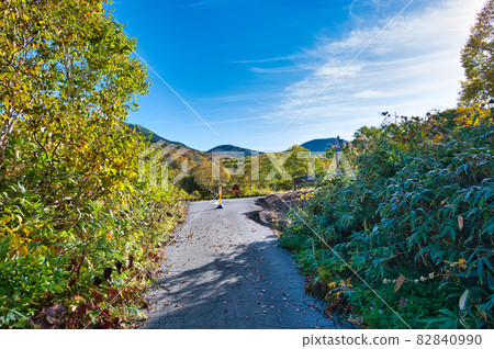 青森縣八甲田山,秋日前往須賀湯文殊深石的路 青森縣八甲田山,秋日前往須賀湯文殊深石的路 82840990