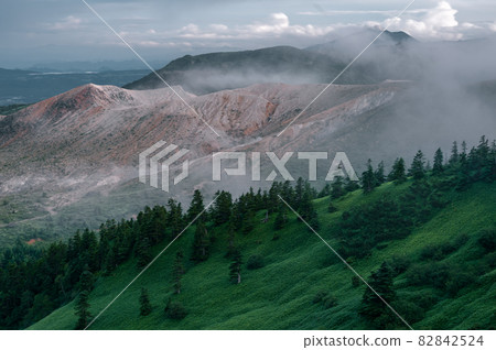 Fog 82842524