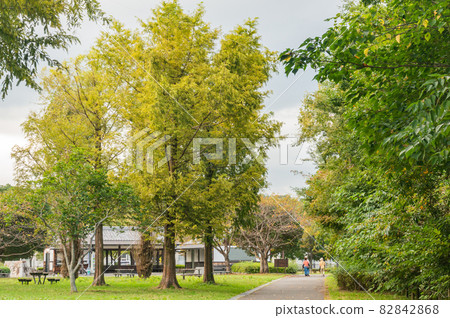 Kinugawa Lakeshore Green Area 82842868