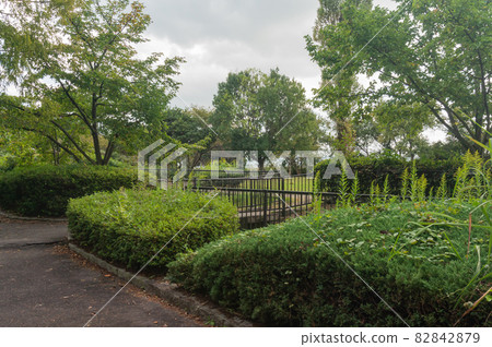 Kinugawa Lakeshore Green Area 82842879