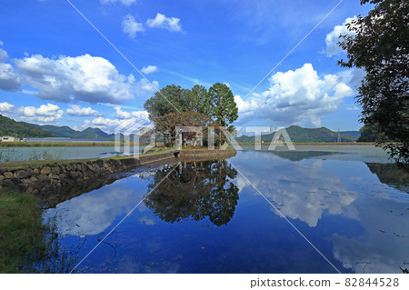 Suhama Shrine Kamoike 倒影 82844528