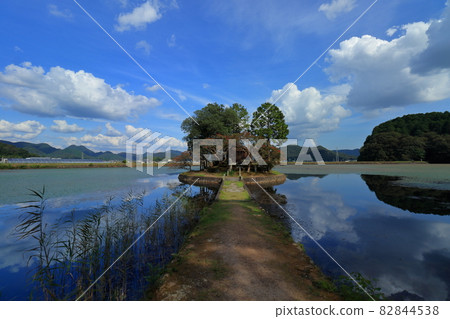 Suhama Shrine Kamoike 倒影 82844538